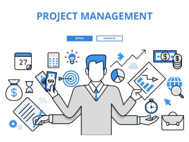 IT Consulting